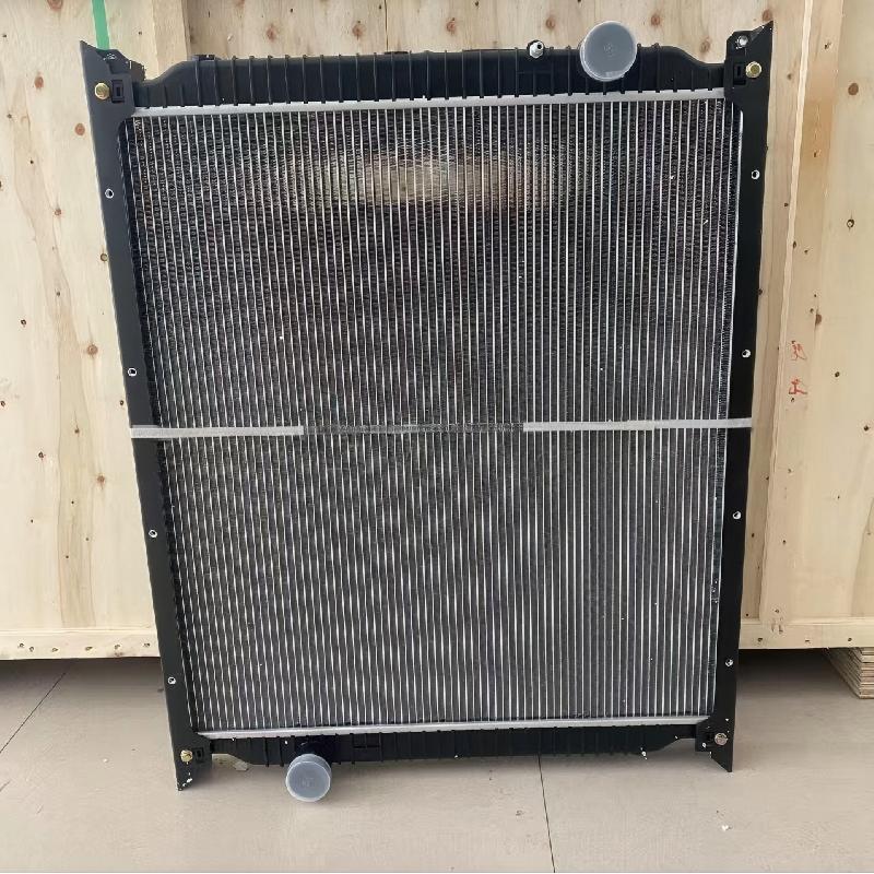 WG9719530276 Radiator Assembly 